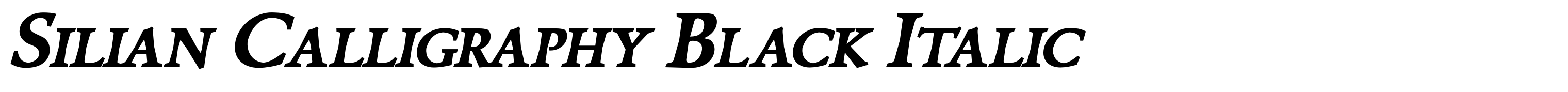 Silian Calligraphy Black Italic